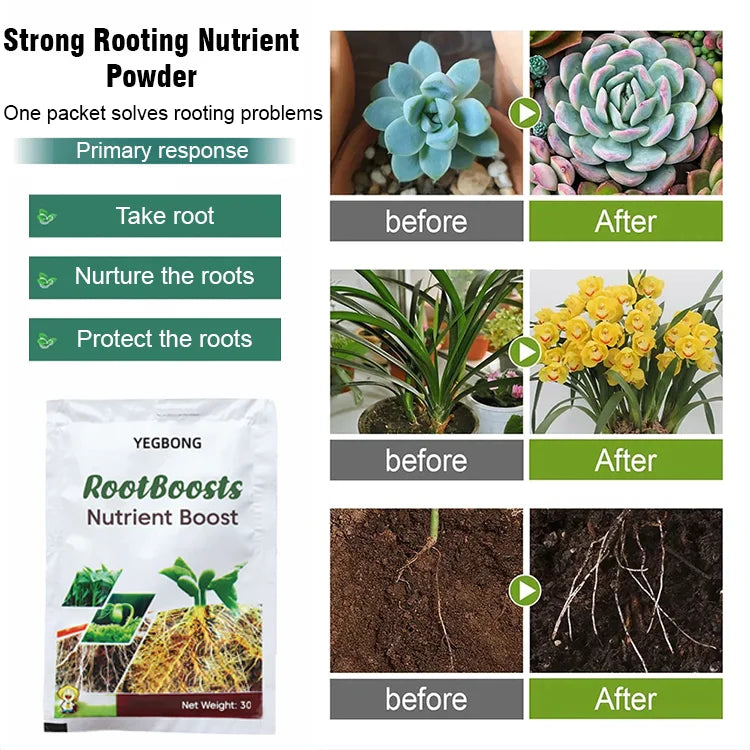 Plant Hair Root Growth Nutrition Powder