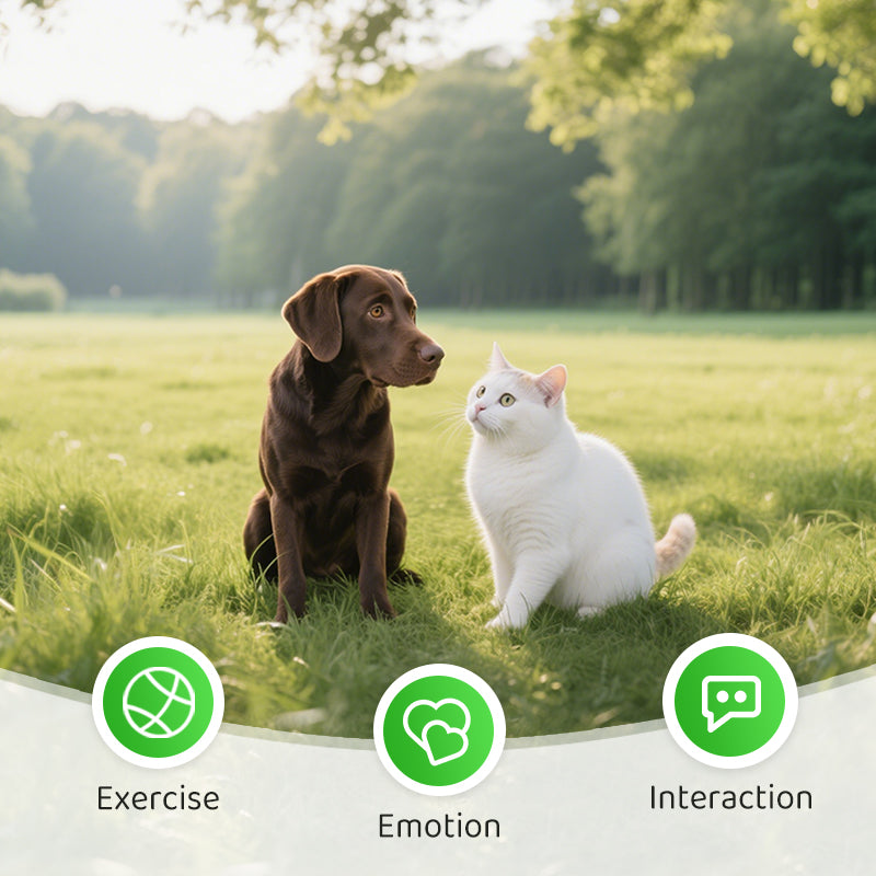 Interactive Automatic Moving Mouse Toys with Squeaky Sound