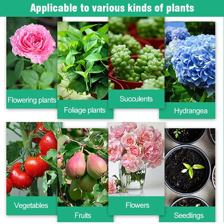 Plant Hair Root Growth Nutrition Powder