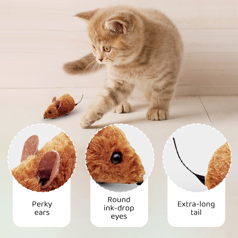 Interactive Automatic Moving Mouse Toys with Squeaky Sound